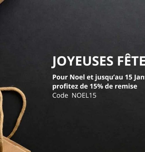 Joyeuses fêtes (1)